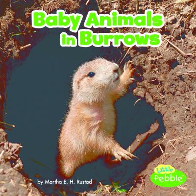 Baby animals in burrows