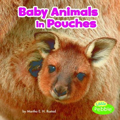 Baby animals in pouches