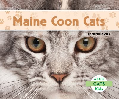 Maine coon cats