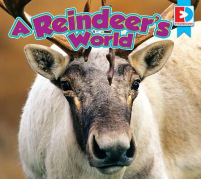 A reindeer's world