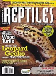 Reptiles.