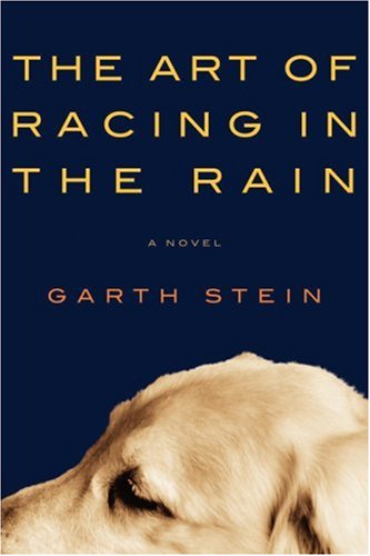 The art of racing in the rain : a novel