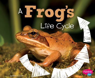 A frog's life cycle