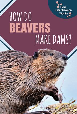 How do beavers make dams?