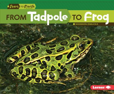 From Tadpole To Frog