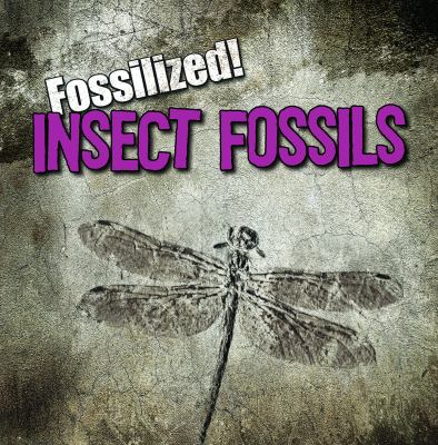 Insect fossils