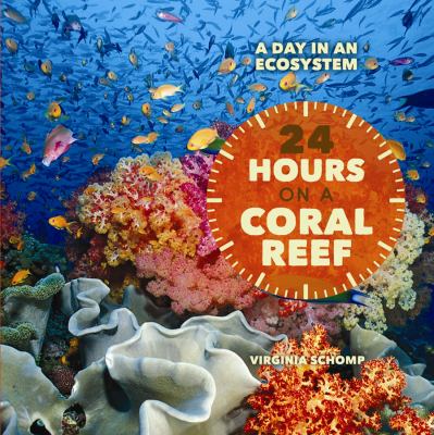 24 hours on a coral reef