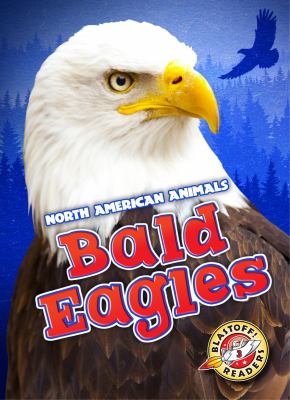 Bald eagles