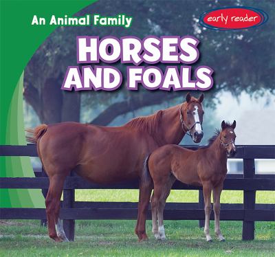 Horses and foals