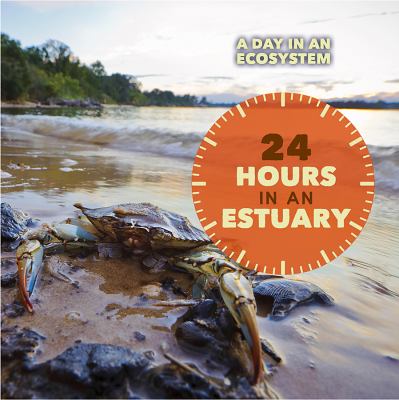 24 hours in an estuary