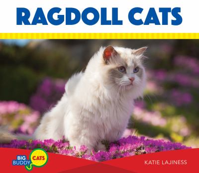 Ragdoll cats