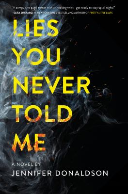 Lies you never told me : a novel