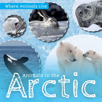 Animals in the Arctic