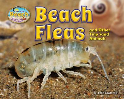 Beach fleas and other tiny sand animals