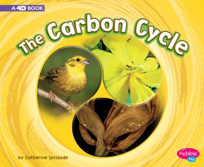 The carbon cycle