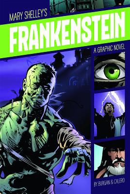 Mary Shelley's Frankenstein : a graphic novel