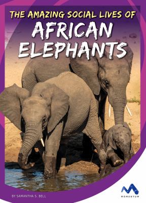 The amazing social lives of African elephants