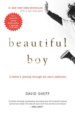 Beautiful boy : a father's journey through his son's addiction