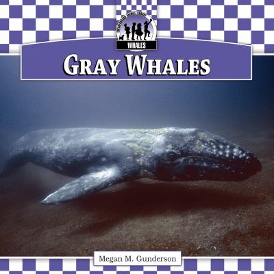 Gray whales