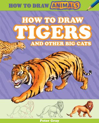 How to draw tigers and other big cats