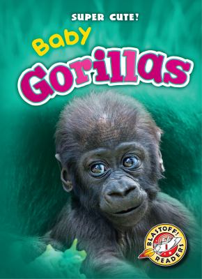 Baby gorillas