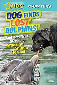 Dog finds lost dolphins : and more true stories of amazing animal heroes