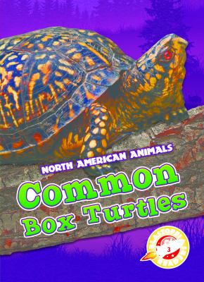 Common box turtles