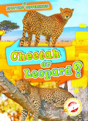 Cheetah or leopard?