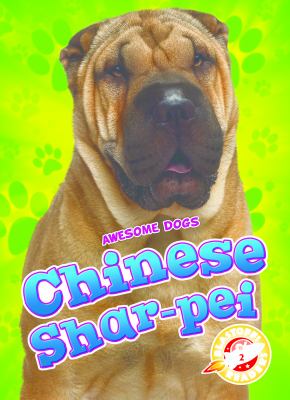 Chinese Shar-Pei