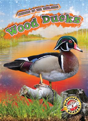 Wood ducks