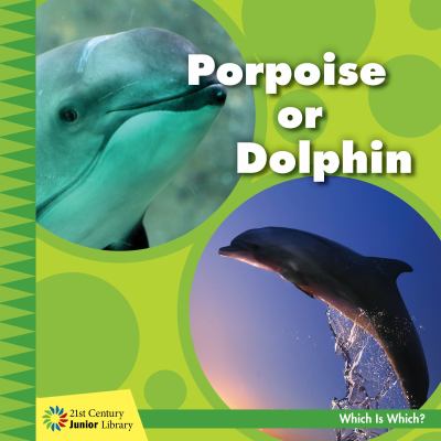 Porpoise or dolphin