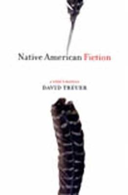 Native American fiction : a user's manual