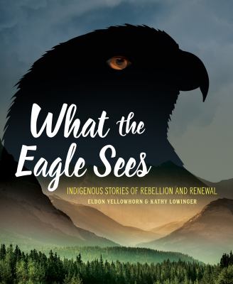 What The Eagle Sees : Indigenous stories of rebellion and renewal