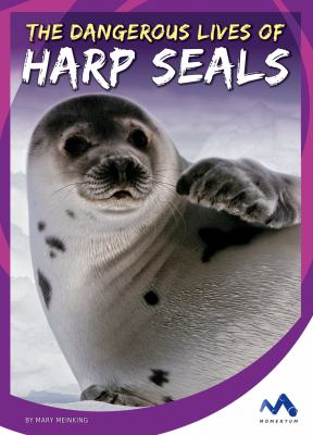 The dangerous lives of harp seals