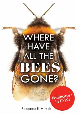 Where have all the bees gone?