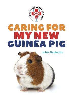 Caring For My New Guinea Pig