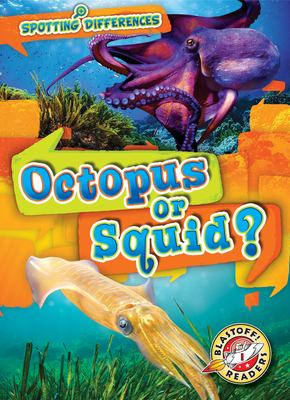 Octopus Or Squid?