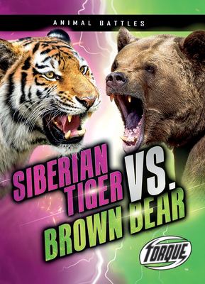 Siberian Tiger Vs. Brown Bear