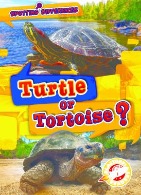 Turtle Or Tortoise?