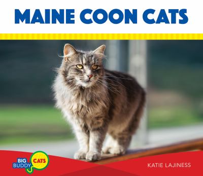 Maine Coon Cats