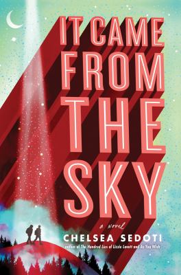 It Came From The Sky : a novel