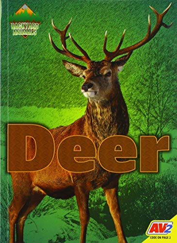 Deer