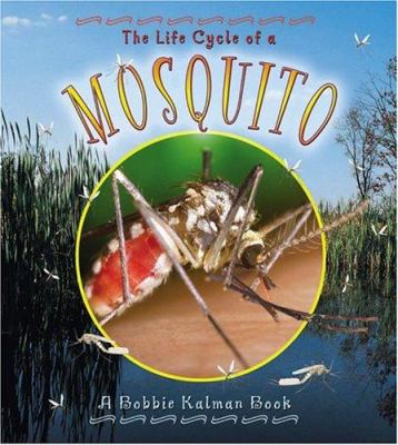 The life cycle of a mosquito