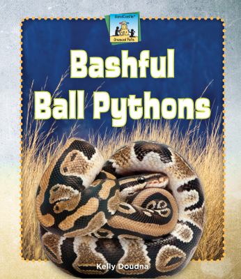 Bashful Ball Pythons