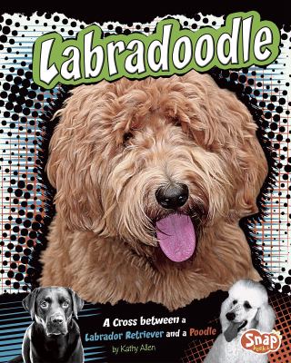 Labradoodle : a cross between a Labrador retreiver and a Poodle