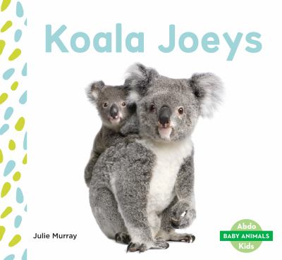 Koala Joeys