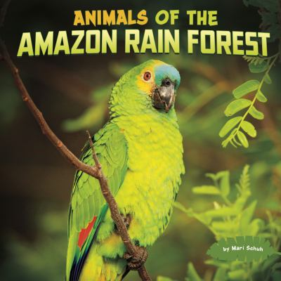 Animals Of The Amazon Rain Forest