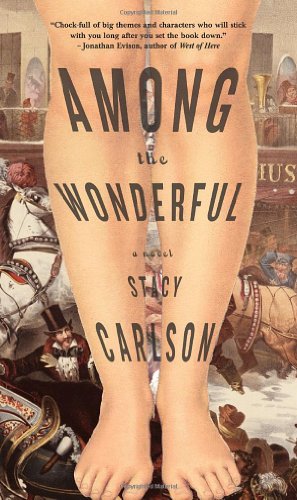 Among the wonderful : a novel