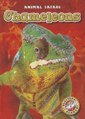 Chameleons