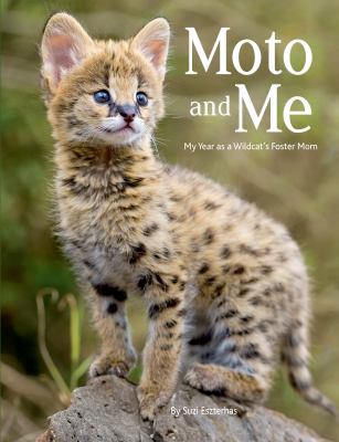 Moto And Me : my year as a wildcat's foster mom